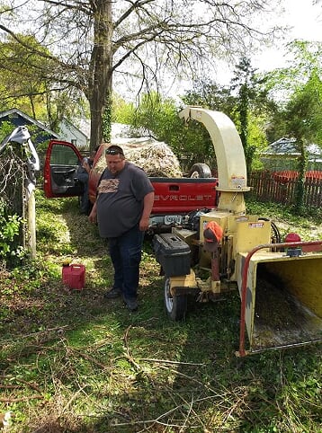 Vienna Tree Service & Landscaping